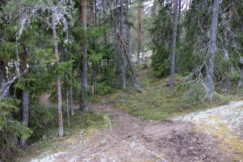 SisuXtrail2022 by HenrikLund