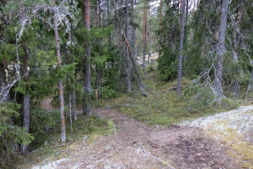 SisuXtrail2022 by HenrikLund