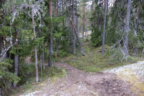 SisuXtrail2022 by HenrikLund