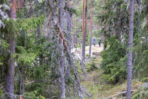 SisuXtrail2022 by HenrikLund