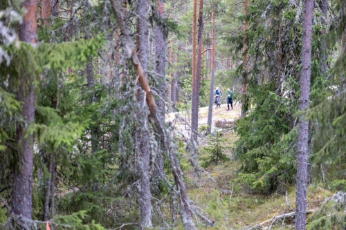 SisuXtrail2022 by HenrikLund