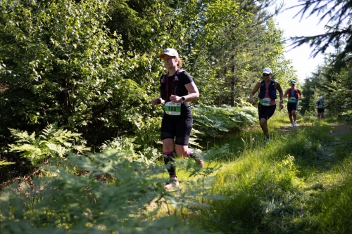 photography by Henrik Lund - @lundfotowildlife