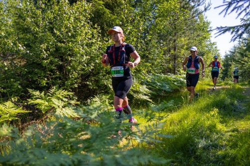 photography by Henrik Lund - @lundfotowildlife