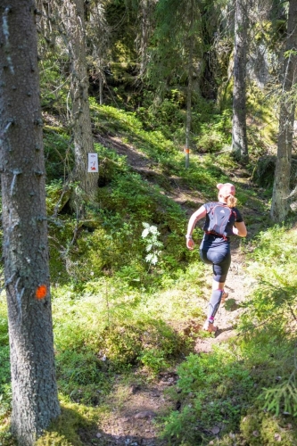 photography by Henrik Lund - @lundfotowildlife