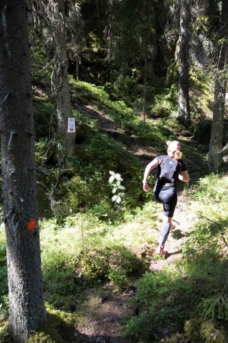 photography by Henrik Lund - @lundfotowildlife