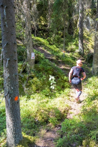 photography by Henrik Lund - @lundfotowildlife