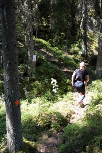 photography by Henrik Lund - @lundfotowildlife