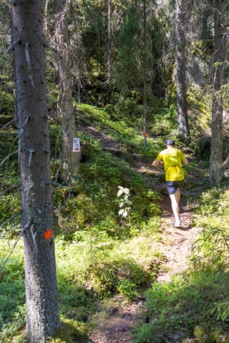 photography by Henrik Lund - @lundfotowildlife