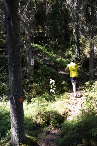 photography by Henrik Lund - @lundfotowildlife