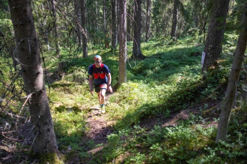 photography by Henrik Lund - @lundfotowildlife