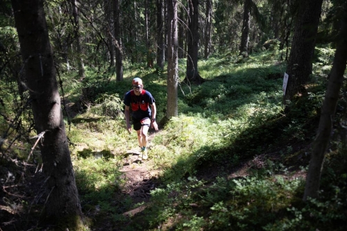 photography by Henrik Lund - @lundfotowildlife