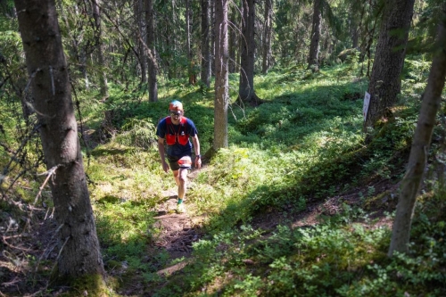 photography by Henrik Lund - @lundfotowildlife