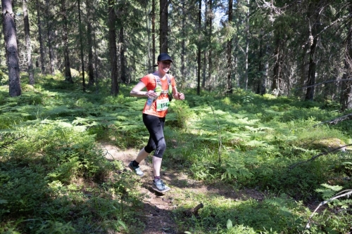 photography by Henrik Lund - @lundfotowildlife