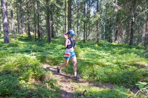 photography by Henrik Lund - @lundfotowildlife