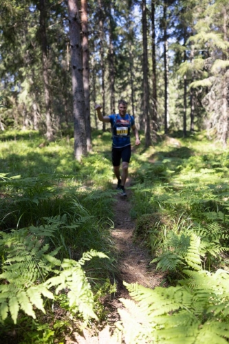 photography by Henrik Lund - @lundfotowildlife