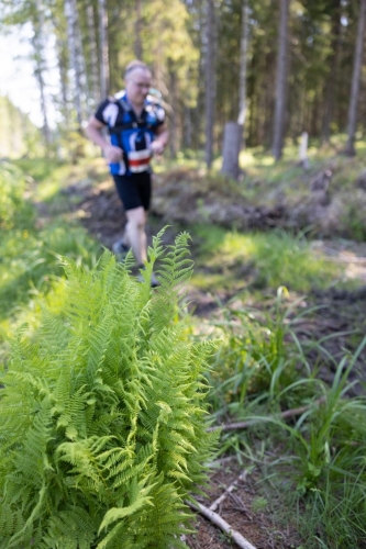 photography by Henrik Lund - @lundfotowildlife