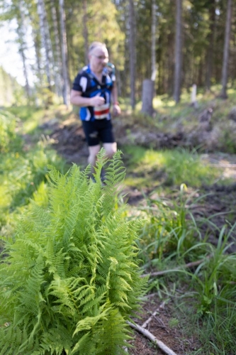 photography by Henrik Lund - @lundfotowildlife