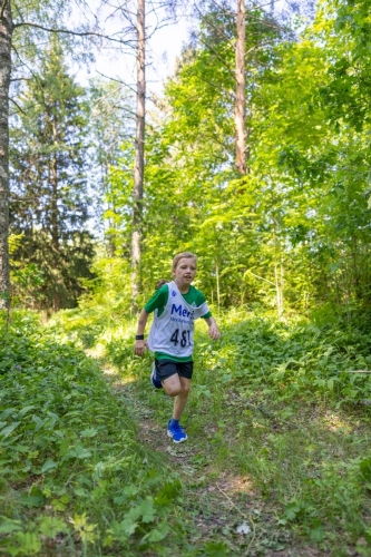 photography by Henrik Lund - @lundfotowildlife