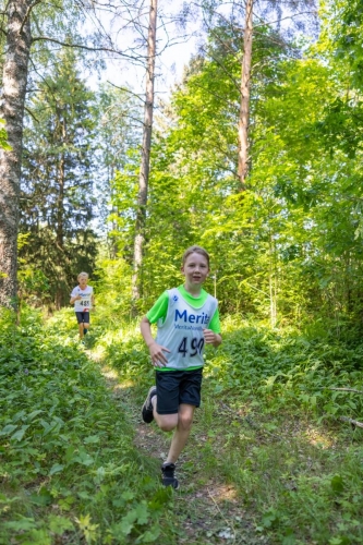 photography by Henrik Lund - @lundfotowildlife