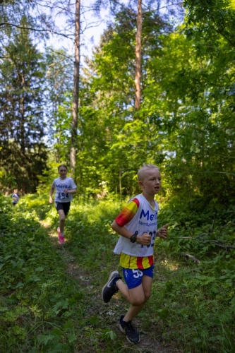 photography by Henrik Lund - @lundfotowildlife