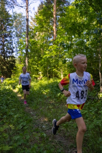 photography by Henrik Lund - @lundfotowildlife