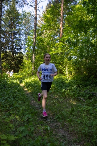 photography by Henrik Lund - @lundfotowildlife