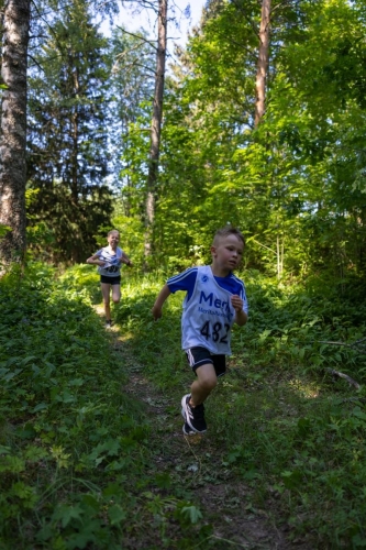 photography by Henrik Lund - @lundfotowildlife