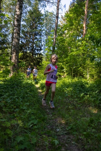 photography by Henrik Lund - @lundfotowildlife