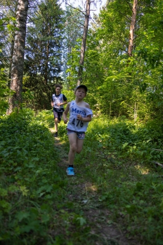 photography by Henrik Lund - @lundfotowildlife